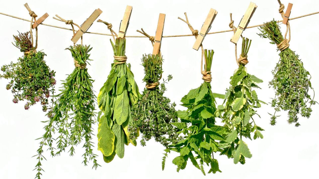 Herbs that promote penis enlargement. 