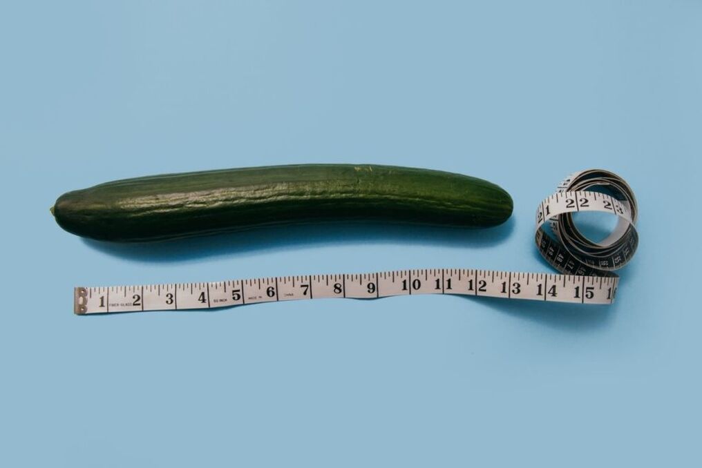 MEASUREMENT OF THE SIZE OF THE PENS Using the example of a cucumber